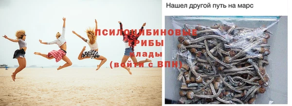 прущие грибы Абаза