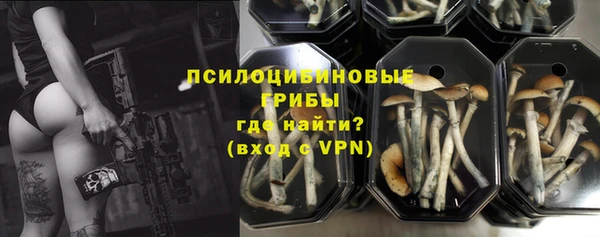 прущие грибы Абаза