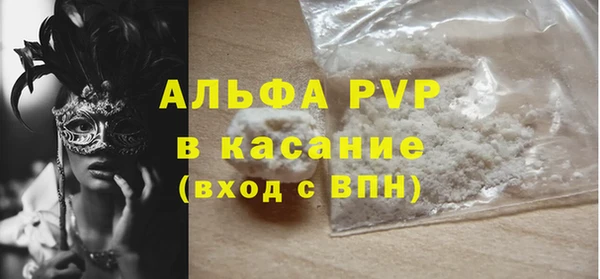 прущие грибы Абаза