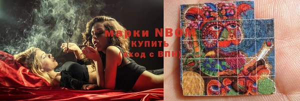 прущие грибы Абаза